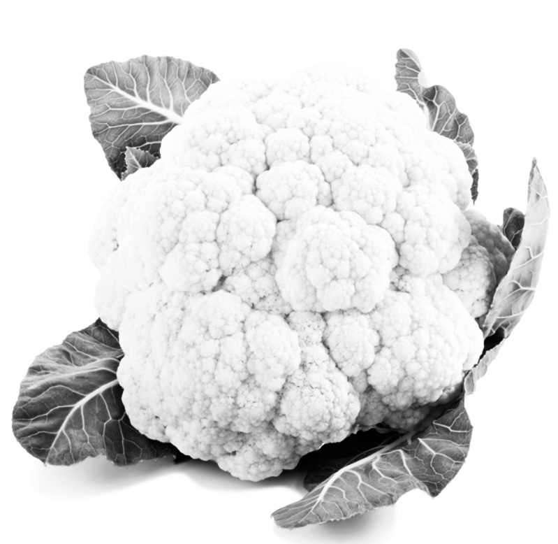 terug naar start (1)