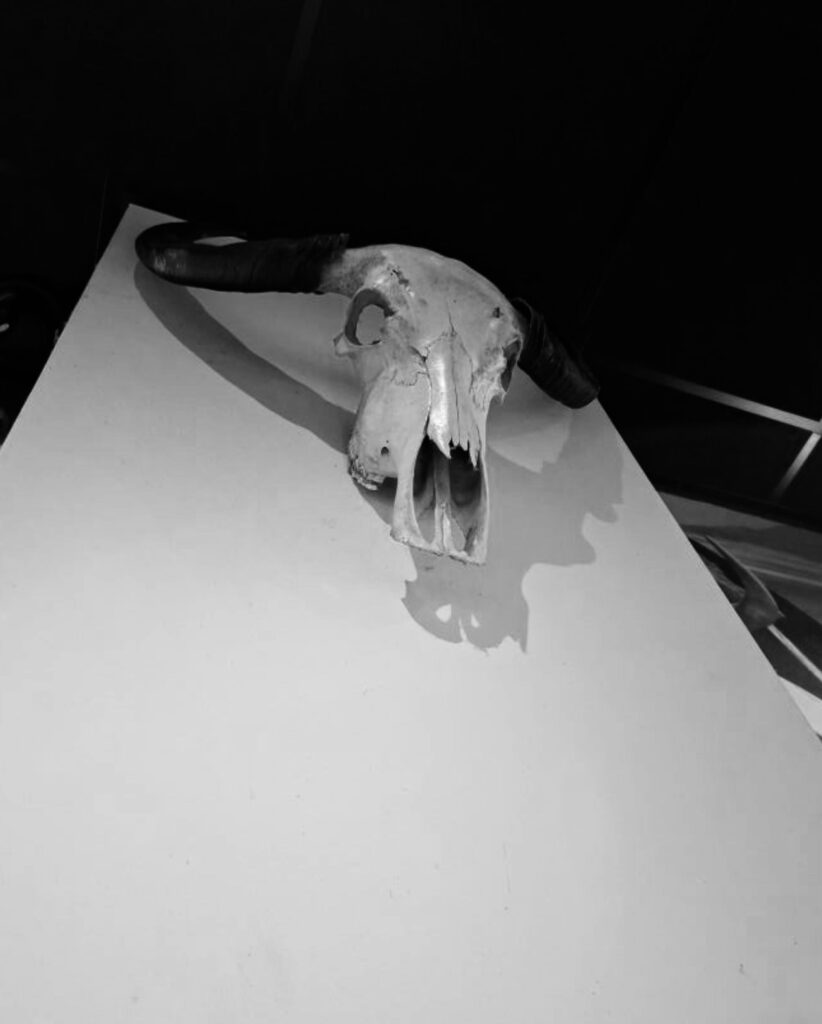 salon/schrijverscafé